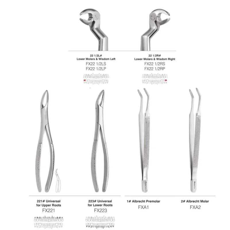 GDC Extraction Forceps Special Wisdom Routrier - Image 2