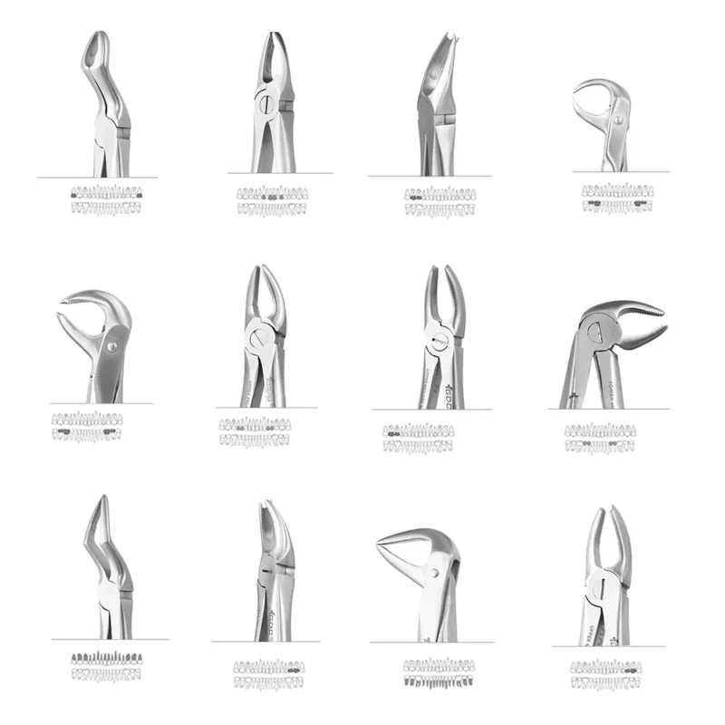 GDC Extraction Forceps Ergonomic