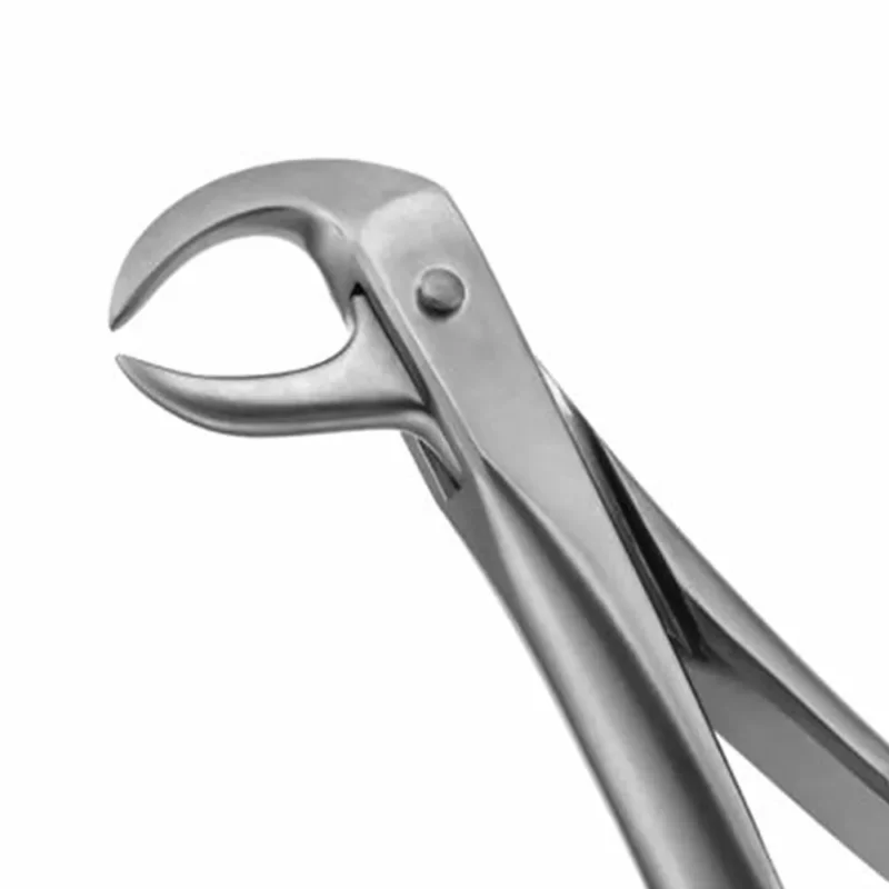 GDC Extraction Forceps Lower Molars - 86C Premium (FX86CP) - Image 2