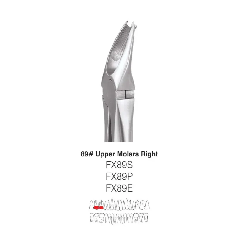 GDC Extraction Forceps Upper Molars Right Standard - (FX89S) - Image 2