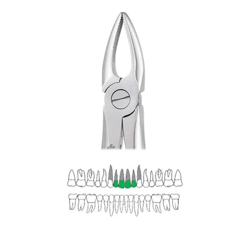 GDC Extraction Forceps Upper Roots - 29 Premium (Fx29p) - Image 4