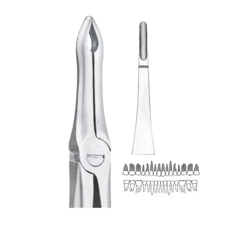 GDC Extraction Forceps Upper Roots - 41 Premium (FX41P) - Image 4