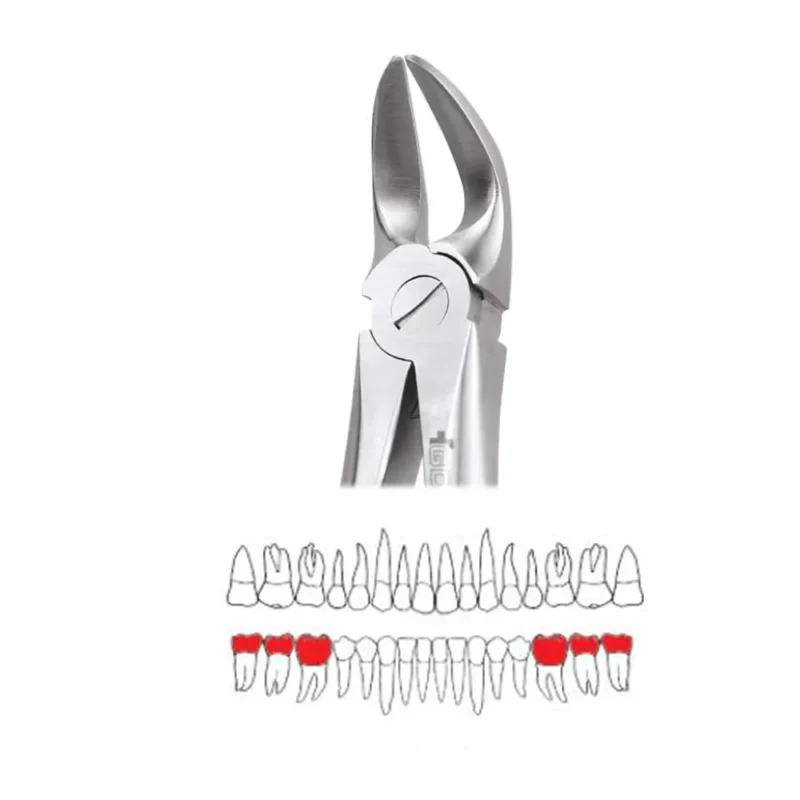 GDC Extraction Forceps Separating Lower Molars - 56 Standard (FX56S) - Image 2