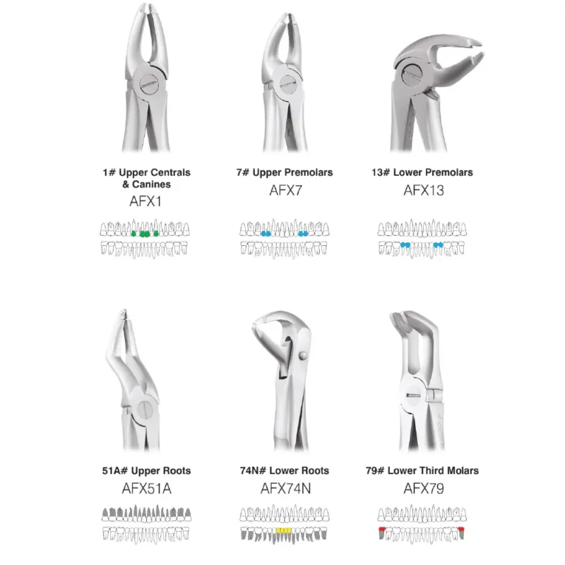 GDC Extraction Forceps Atraumatic - Image 2