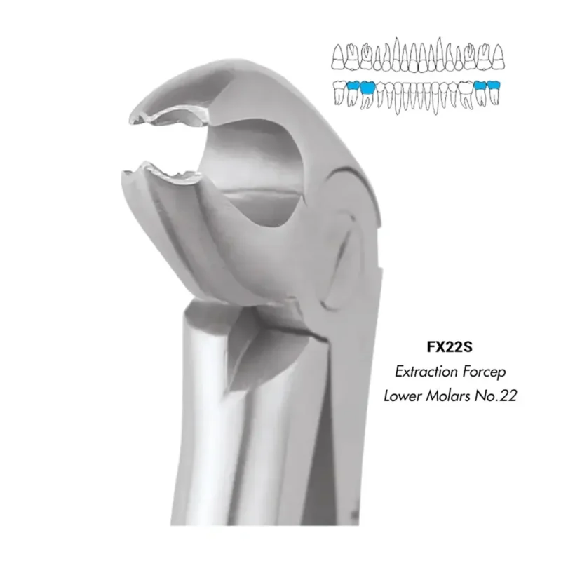 GDC Extraction Forceps Lower Molars - 22 Standard (FX22S) - Image 2