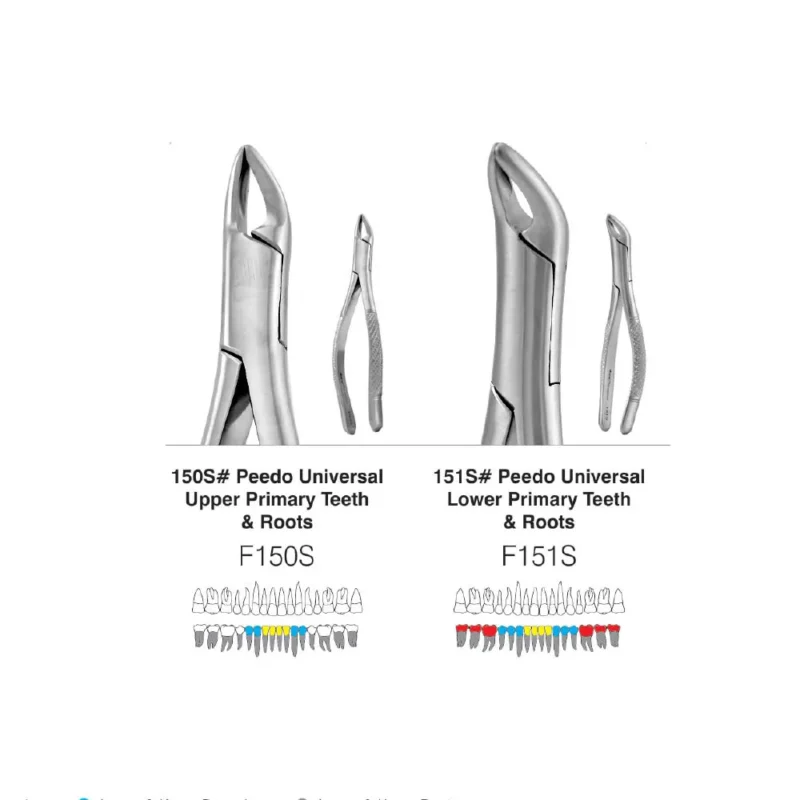 GDC American Pedo Forceps - Image 2